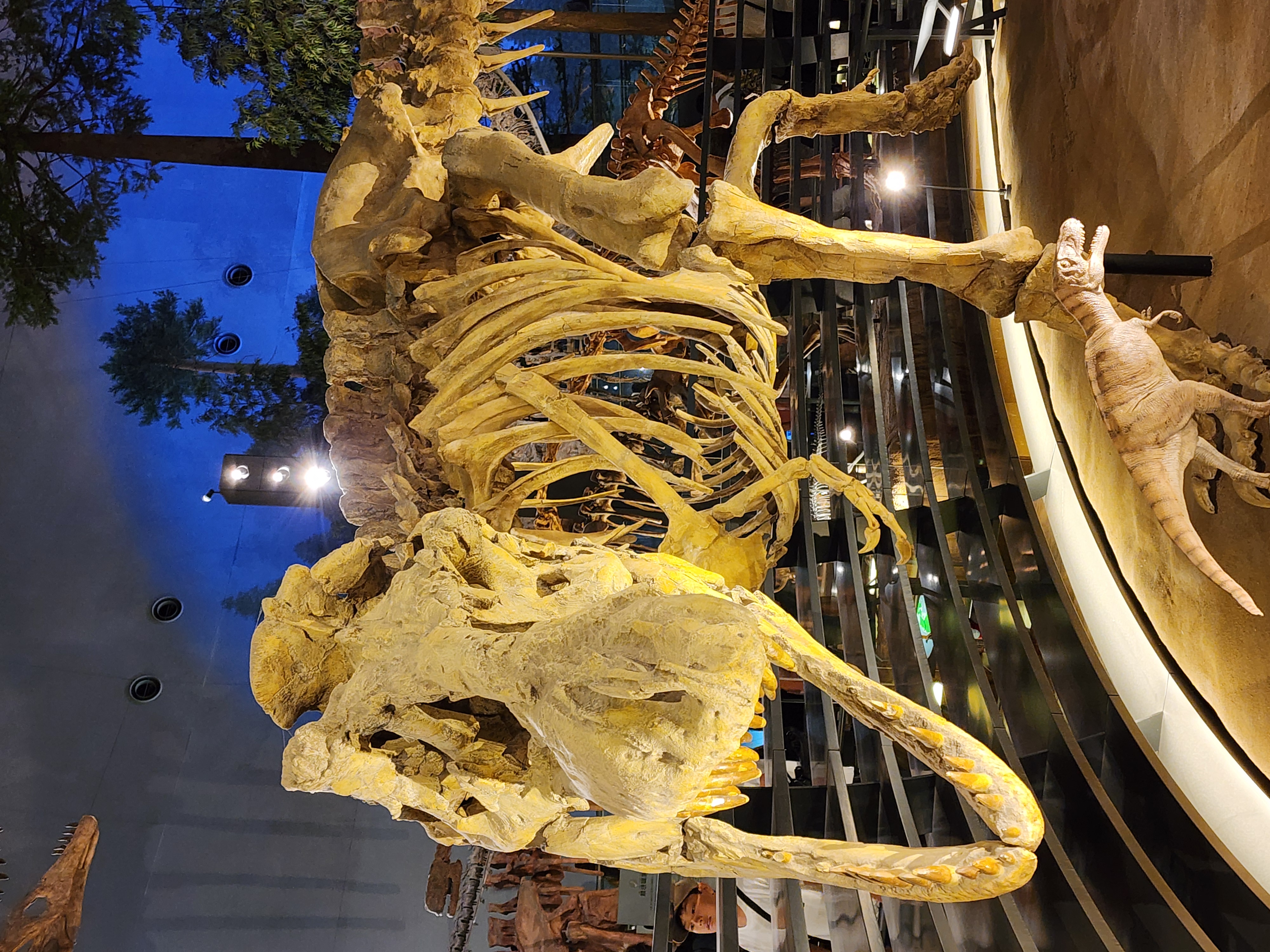 【ブログ】福井の旅2025①🦖🦕