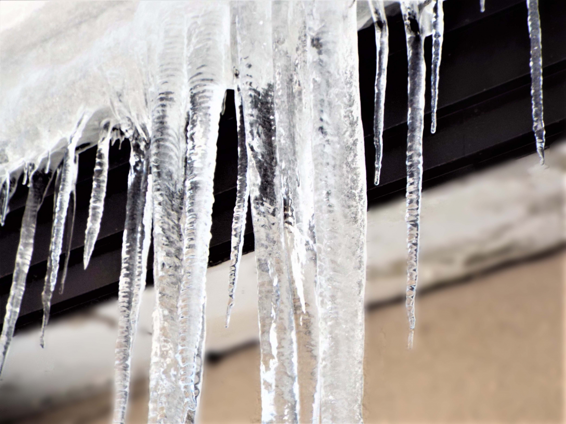 【ブログ】大寒の過ごし方❄