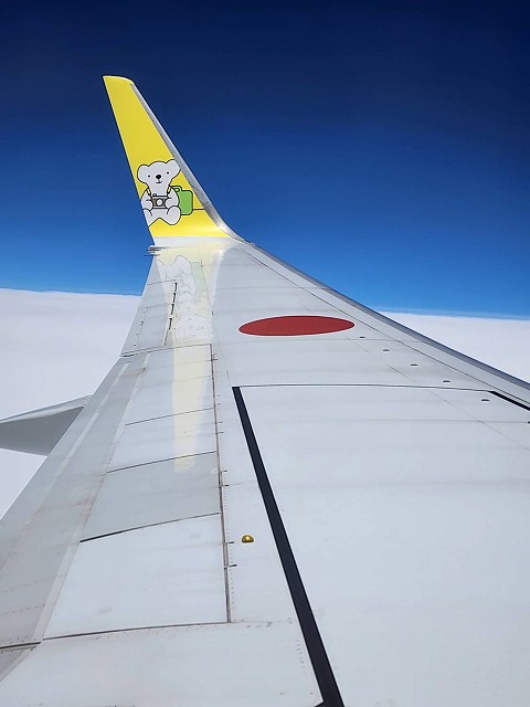 飛行機の旅