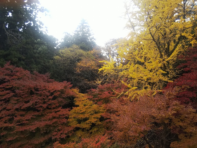 書写山円教寺　姫路市