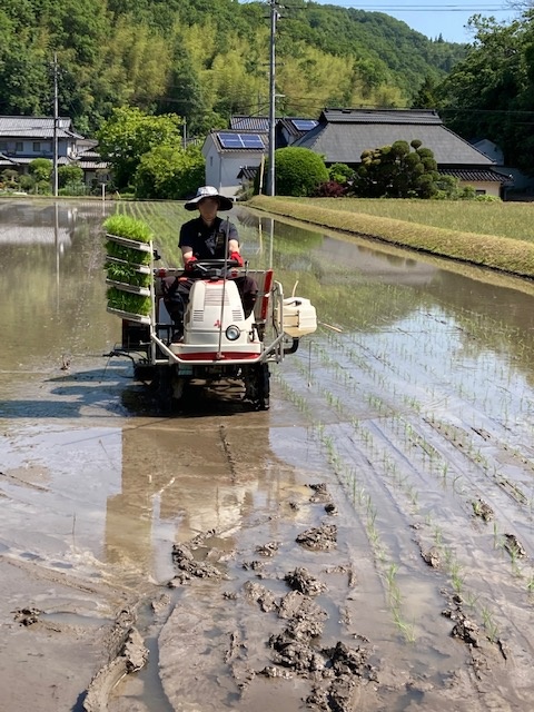 【ブログ】田植え体験