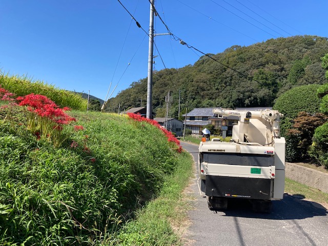 【ブログ】田植えからのその後　稲刈り体験！