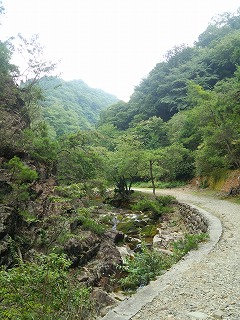 一年中13℃の世界