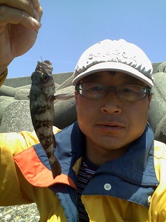 今年から始めた魚釣り