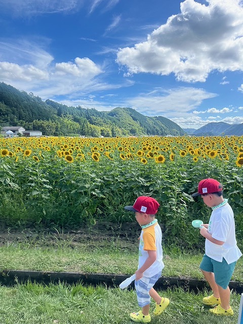 南光ひまわり畑